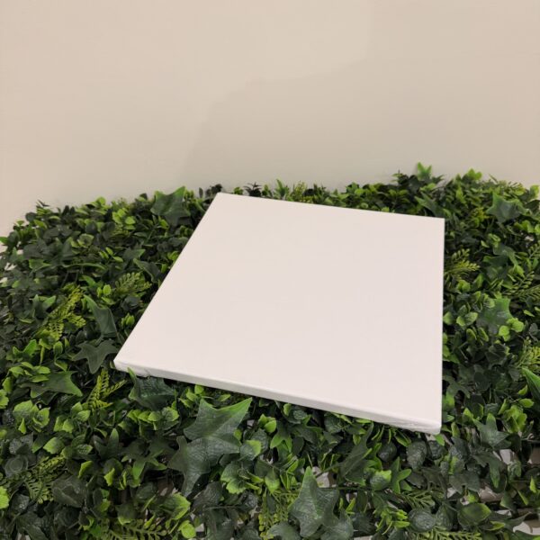 Toile 30cm*30cm